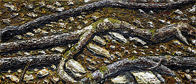 2010, 66 x 153cm, Öl auf Leinwand