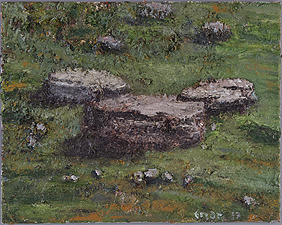 Bergwiese, 2017, 50 × 60cm, Öl auf Leinwand