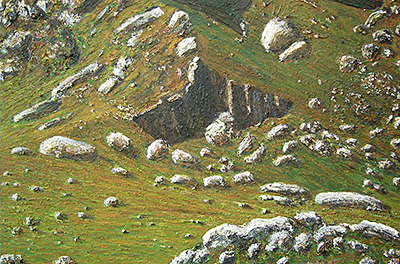 Alp, 2005, 100 × 150cm, Öl auf Leinwand